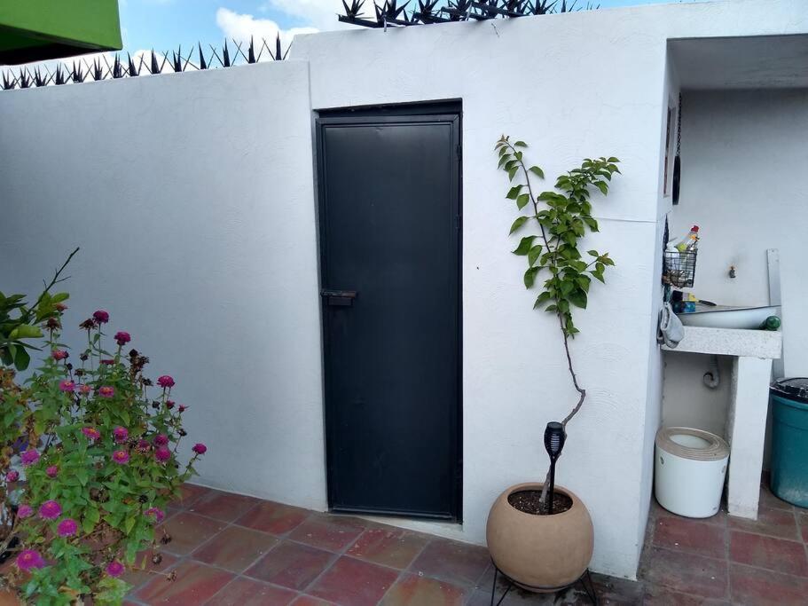 Casa Cuauhtemoc Villa Guadalajara Dış mekan fotoğraf