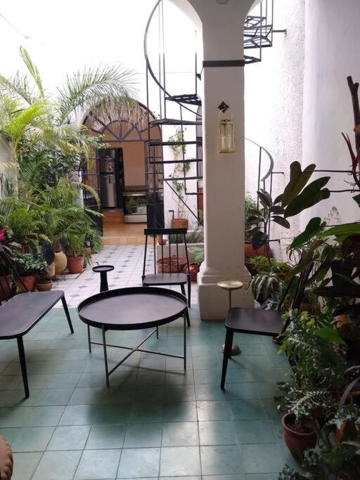 Casa Cuauhtemoc Villa Guadalajara Dış mekan fotoğraf