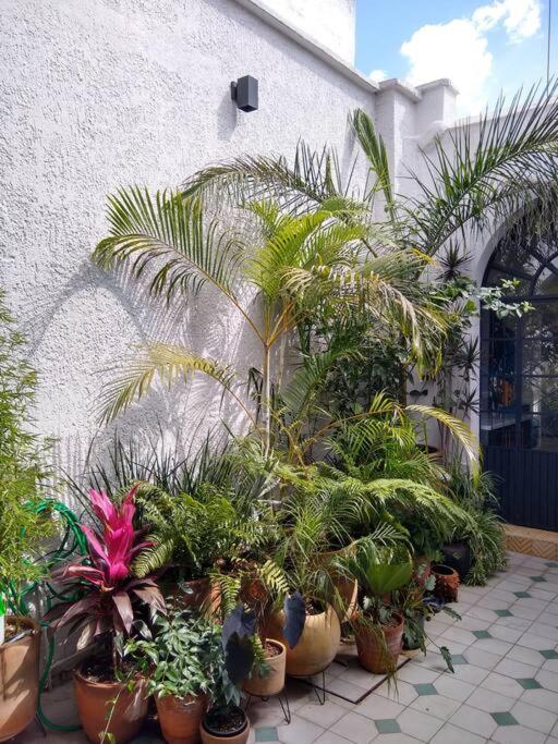Casa Cuauhtemoc Villa Guadalajara Dış mekan fotoğraf