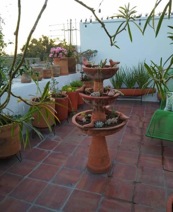 Casa Cuauhtemoc Villa Guadalajara Dış mekan fotoğraf