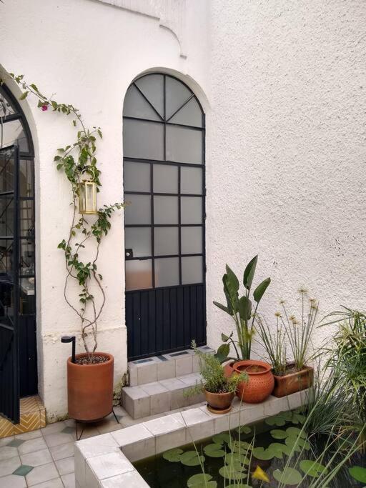 Casa Cuauhtemoc Villa Guadalajara Dış mekan fotoğraf